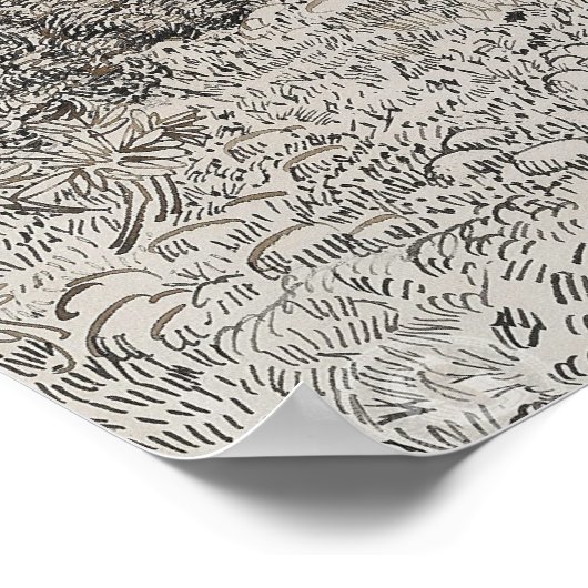 schets van olijfbomen poster (Hoek)