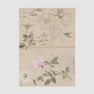 Schetsboek Pl. 107 door Ariyoshi Kondo Tissuepapier