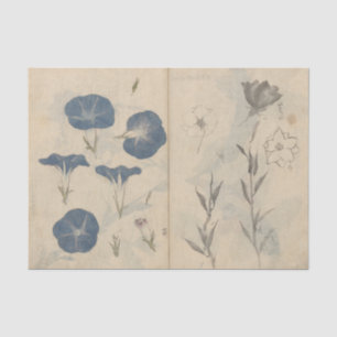 Schetsboek Pl. 112 door Ariyoshi Kondo Tissuepapier