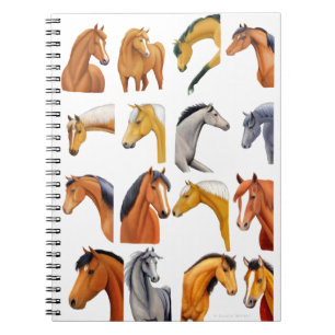 Schetsen van paarden notitieboek