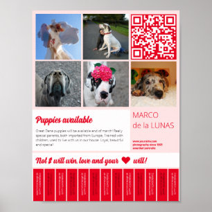 Scheur af afdrukbare puppy's te koop flyer sjabloo poster
