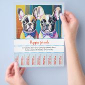 Scheur af Franse Bulldog Puppy Flyer (Hand)