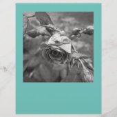 Scheur Flyer vierkante afbeeldingen af (Achterkant)