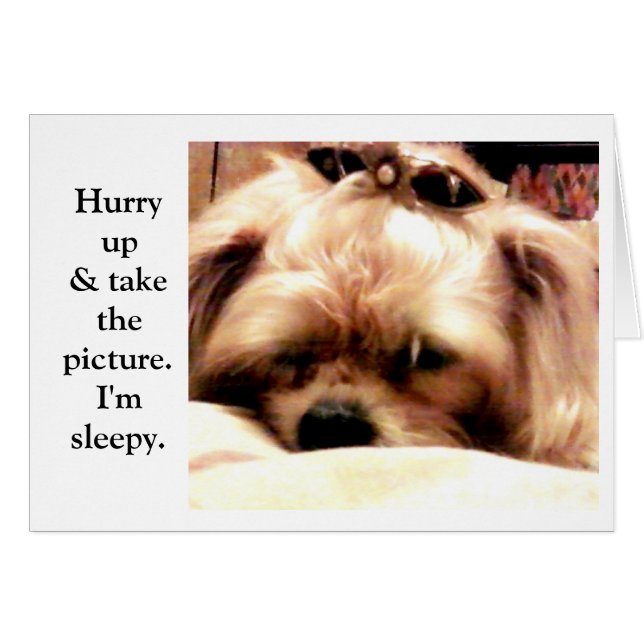 Schiet op (Voorkant Horizontaal)