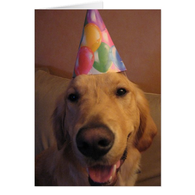 Schiet op en eet (Voorkant)