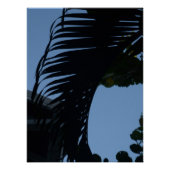 Schijfschaduwen Perfect Poster (Voorkant)