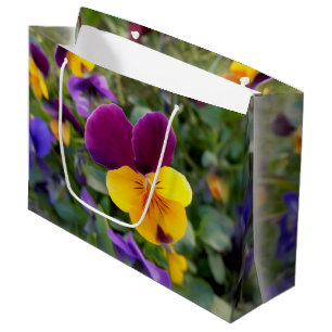 Schijnpannen Groot Cadeauzakje