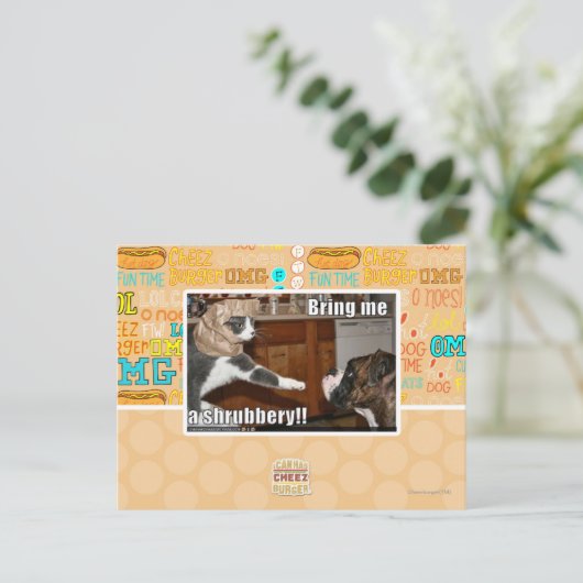 Schijnwerper Briefkaart (Staand voorkant)