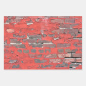 Schildbakwandvariëteit Inpakpapier Vel (Voorkant)