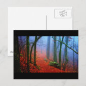 Schildbos herfst blauwe mist briefkaart (Voorkant / Achterkant)