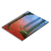 Schildbos herfst blauwe mist notitieboek (Linkerzijde)