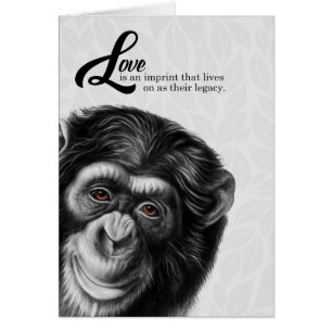 Schilde Chimpansee Love is hun nalatenschap