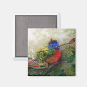 Schilder geschilderd Bunting Bird Magneet (Voorkant / Achterkant)