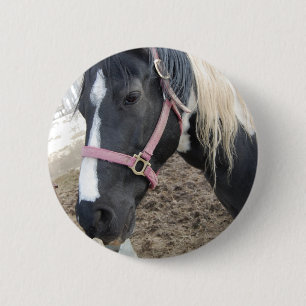 Schilder Paardrijden Paard Ronde Button 5,7 Cm