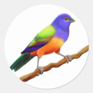 Schilder Ronde Sticker