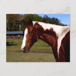 Schilderaardewerk voor schilderpaarden briefkaart