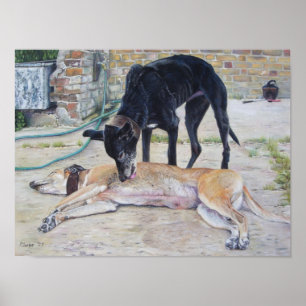 schilderachtig afbeelding van honden voor de hond poster