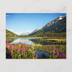 Schilderachtig Alaska, gelabeld Briefkaart