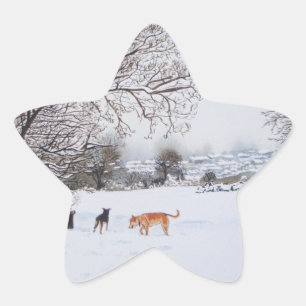 schilderachtig beeld van honden in sneeuwlandschap ster sticker