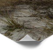 Schilderachtig Boardwalk Florida Beach Natuur Foto Poster (Hoek)