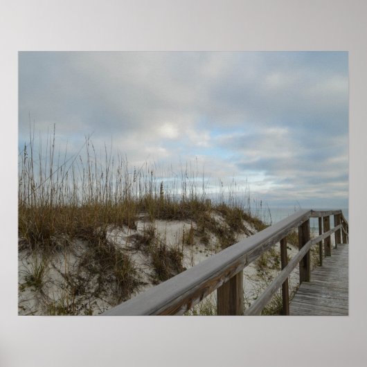 Schilderachtig Boardwalk Florida Beach Natuur Foto Poster (Voorkant)