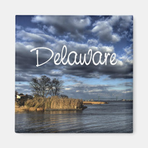 Schilderachtig Delaware USA State Souvenir Fridge Magneet