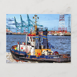 Schilderachtig foto Antwerpen, België Briefkaart