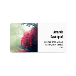 Schilderachtig foto van Misty Railroad Tracks Etiket