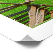 Schilderachtig foto van Red Barn Poster (Hoek)