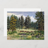 Schilderachtig gebufferd deeg in South Dakota Briefkaart (Voorkant / Achterkant)