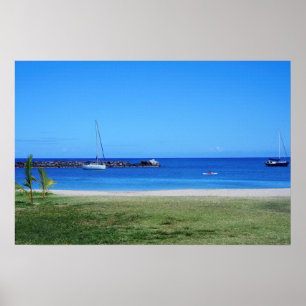 Schilderachtig Hawaiian Coast Uitzicht Poster