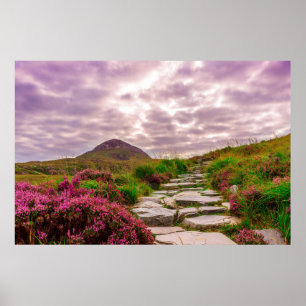 schilderachtig - Ierland poster