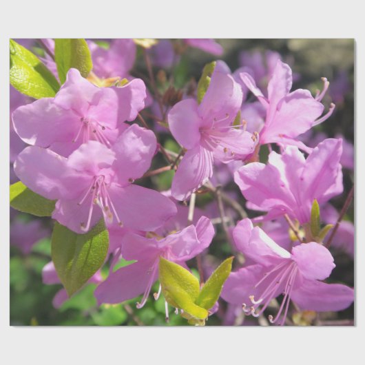 Schilderachtig landschap cadeaupapier (Vlak)