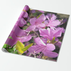 Schilderachtig landschap cadeaupapier