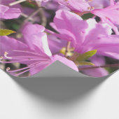 Schilderachtig landschap cadeaupapier (Hoek)