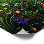 Schilderachtig landschap poster (Hoek)