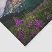 Schilderachtig Lupine Meadow Mountain Majesty Tissuepapier (Detail)