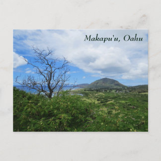 Schilderachtig Makapuu Oahu Hawaii Uitzicht Briefkaart