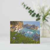 Schilderachtig McWay-Herfsten lopen het strand in Briefkaart (Staand voorkant)