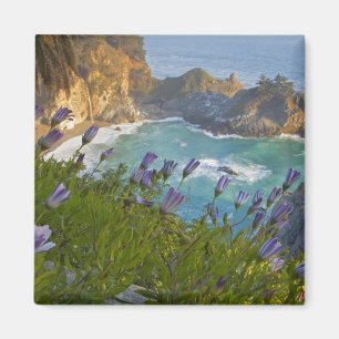 Schilderachtig McWay-Herfsten lopen het strand in  Magneet