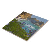 Schilderachtig McWay-Herfsten lopen het strand in Tegeltje (Zijkant)