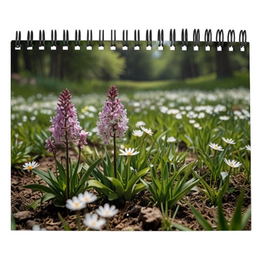 schilderachtig muur 2025 kalender (Hoes)