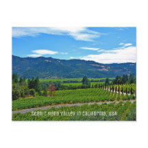 Schilderachtig Napa-vallei in Californië