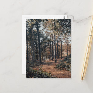 Schilderachtig ontspannend bos briefkaart
