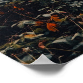 Schilderachtig ontspannend bos poster (Hoek)