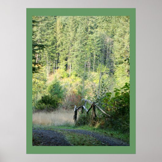 Schilderachtig oregon Forest Trees Country Fotogra Poster (Voorkant)