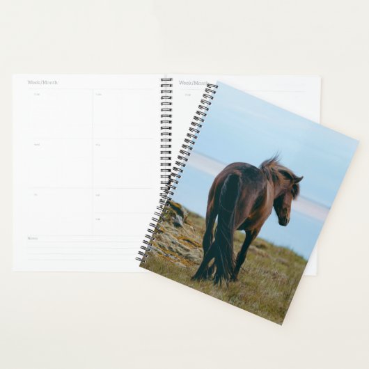 Schilderachtig paardenplanner planner (Display)