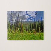Schilderachtig puzzel van de colorado bergweide (Horizontaal)