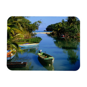 Schilderachtig rivier nabij Ocho Rios in Jamaica Magneet