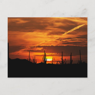 Schilderachtig Saguaros op Sunset Briefkaart